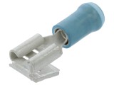 Conector 6,3 P.B.FASTON REC. TE Connectivity