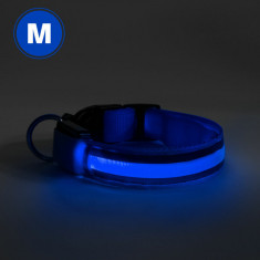 Zgardă LED - baterie - mărimea M - albastru