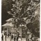 CPI B14286 CARTE POSTALA - SLANIC MOLDOVA. LA IZVOARE, RPR
