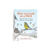 How to Look at a Bird: Open Your Eyes to the Joy of Watching and Knowing Birds