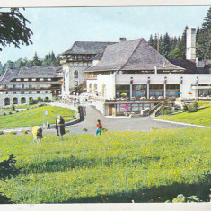 bnk cp Poiana Brasov - Hotel Sport - necirculata