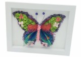 Aranjament floral, Fluture, Rama Tablou cu licheni, frunze fosilizate si plante naturale criogenate si fosilizate, Eventissimi, Personalizabil, Multic, Eventissimi&reg;