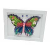 Aranjament floral, Fluture, Rama Tablou cu licheni, frunze fosilizate si plante naturale criogenate si fosilizate, Eventissimi, Personalizabil, Multic