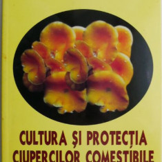 Cultura si protectia ciupericilor comestibile – Ioana Tudor