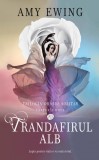 Trandafirul alb (Vol 2 din Trilogia Orasul solitar), Rao