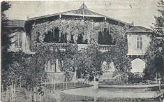 CP746N Băile Buziaș, Hotelul Parc și bazar, carte poștală foto