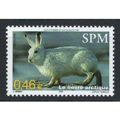 Saint Pierre and Miquelon 2002 Mi 869/ MNH - Fauna, iepuri 27-3