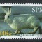 Saint Pierre and Miquelon 2002 Mi 869/ MNH - Fauna, iepuri 27-3