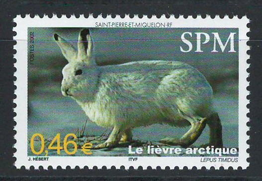 Saint Pierre and Miquelon 2002 Mi 869/ MNH - Fauna, iepuri 27-3