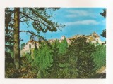 RF189 - Carte Postala - Rasnov. Cetatea, circulata 1969
