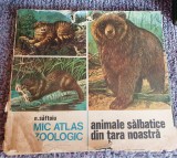 ANIMALE SALBATICE din tara noastra, NICOLAE SAFTOIU, Ed Ceres 1986