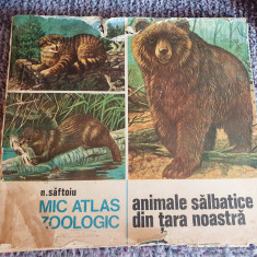 ANIMALE SALBATICE din tara noastra, NICOLAE SAFTOIU, Ed Ceres 1986