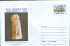 Intreg postal plic nec 2001 - Muzeul de Istorie &quot;Iulian Antonescu&quot; Bacau