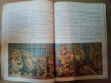 FRAM URSUL POLAR de CEZAR PETRESCU , ILUSTRATII de IACOB DESIDERIU , 1981