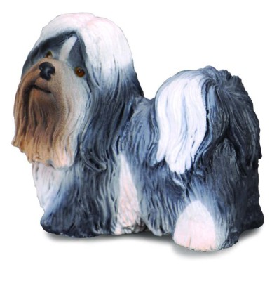 Shih Tzu - Collecta foto