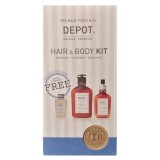 Set Depot: 100 Hair Cleansing No. 103, Pro-Vitamin B5, Hair Shampoo, For Hydration, 250 ml + 200 Hair Treatments No. 202, Botani