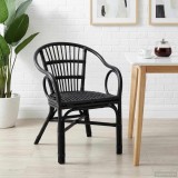 vidaXL Scaun stivuibil Negru 58 x 60 x 81 cm Ratan 42033215