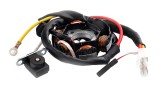 Stator Magnetou 6 Bobine Honda Dio Kymco Fever Peugeot Speedfight 6 Fire