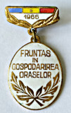 INSIGNA FRUNTAS IN GOSPODARIREA ORASULUI 1966