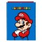 Biblioraft Super Mario, A4 - RESIGILAT