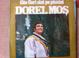 Dorel mos cate flori sant pe pamant disc vinyl lp muzica populara ST EPE 01684, electrecord