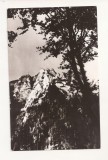 RF97 - Carte Postala - Muntii Bucegi. Maivul Caraiman, necirculata