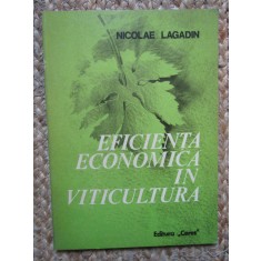 EFICIENTA ECONOMICA IN VITICULTURA - NICOLAE LAGADIN
