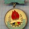AX 842 INSIGNA -DISTINS CU TITLUL PIONIER DE FRUNTE -PENTRU COLECTIONARI