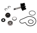 Kit pompa apa Suzuki Burgman 4T LC 125-250-400cc - Suzuki Epicuro 4T LC 125-150cc, Oem