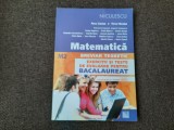 Matematica Exercitii si teste de evaluare pentru bacalaureat M2 PETRE SIMION