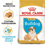 Royal Canin Bulldog Puppy, hrană uscată c&acirc;ini juniori, 3kg