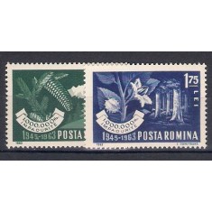 1963 - Impadurirea, serie neuzata