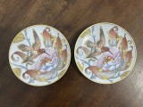 Cumpara ieftin Doua farfurioare din portelan german HUTSCHENREUTHER, colectia Ole Winter cu un design vibrant cu o pasăre colibri
