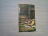 CRIME NEELUCIDATE - Colin Wilson - Editura Contact Internatinal,1994, 135 p., Alta editura