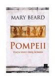 Cumpara ieftin Pompeii, viata unui oras roman