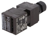 &Icirc;ntrerupător de Siguranță cu Cheie AZ 17 NC x2 IP67 Plastic