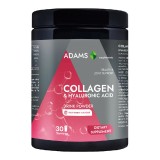 Collagen &amp; Acid Hialuronic Raspberry, 600g, Adams, Adams Vision