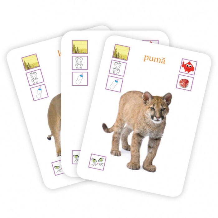 Carti De Joc Educative - Animalele