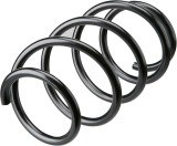 Arc suspensie Renault Grand Scenic 3 (Jz0/1), 02.09-, Megane Cc (Ez0/1), 06.10-, Scenic 3 (Jz0/1), 12.08-, Punte Fata, RapidAuto