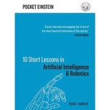 Ten Short Lessons in Artificial Intelligence and Robotics