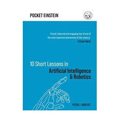 Ten Short Lessons in Artificial Intelligence and Robotics