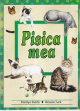Carte Pisica mea, Marilyn Baillie, ilustratii Brenda Clark, poveste emotionanta, relatie om-animal, Carti Hobby
