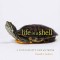 Life in a Shell: A Physiologist&#039;s View of a Turtle