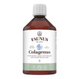 Colagen lichid pentru articulatii si piele Colagenus, 500ml, Faunus Plant