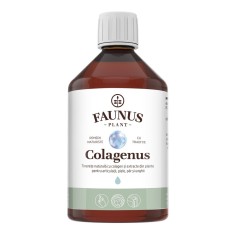 Colagen lichid pentru articulatii si piele Colagenus, 500ml, Faunus Plant