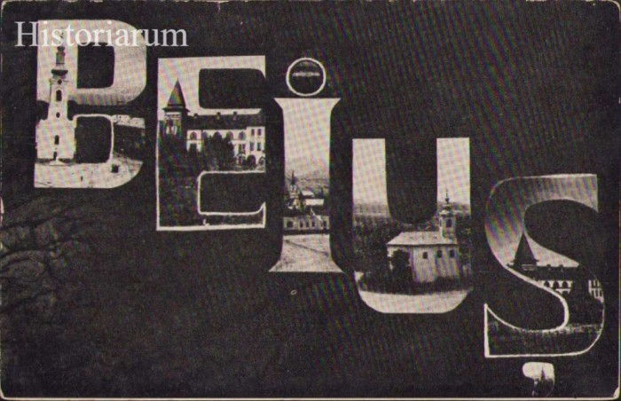 HST CP146 Carte poștală Beiuș