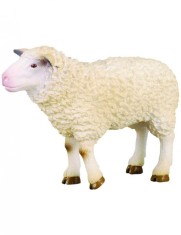 Figurina oaie Collecta