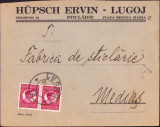 HST A1781 Plic antet Hupsch Ervin Sticlărie Lugoj anii 1930