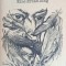 DAS TREFFEN IN TELGTE-GUNTER GRASS-243522