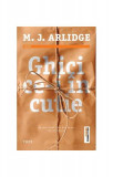 Cumpara ieftin Ghici ce-i &icirc;n cutie (Vol. 2) - Paperback brosat - M.J. Arlidge - Trei